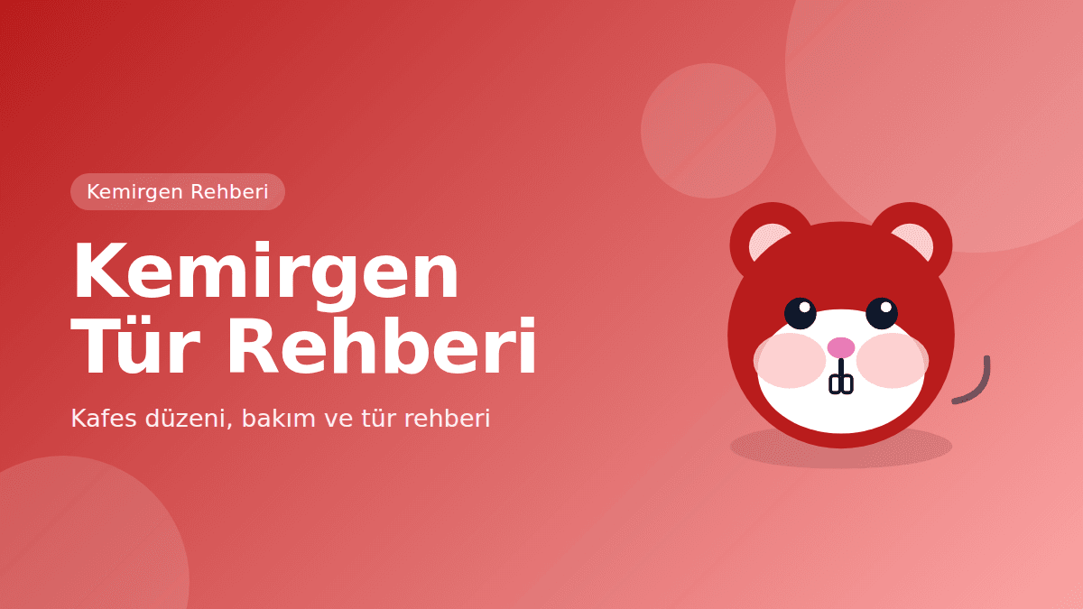 Kemirgen Tür Rehberi: Kafes Düzeni ve Bakım — kapak görseli