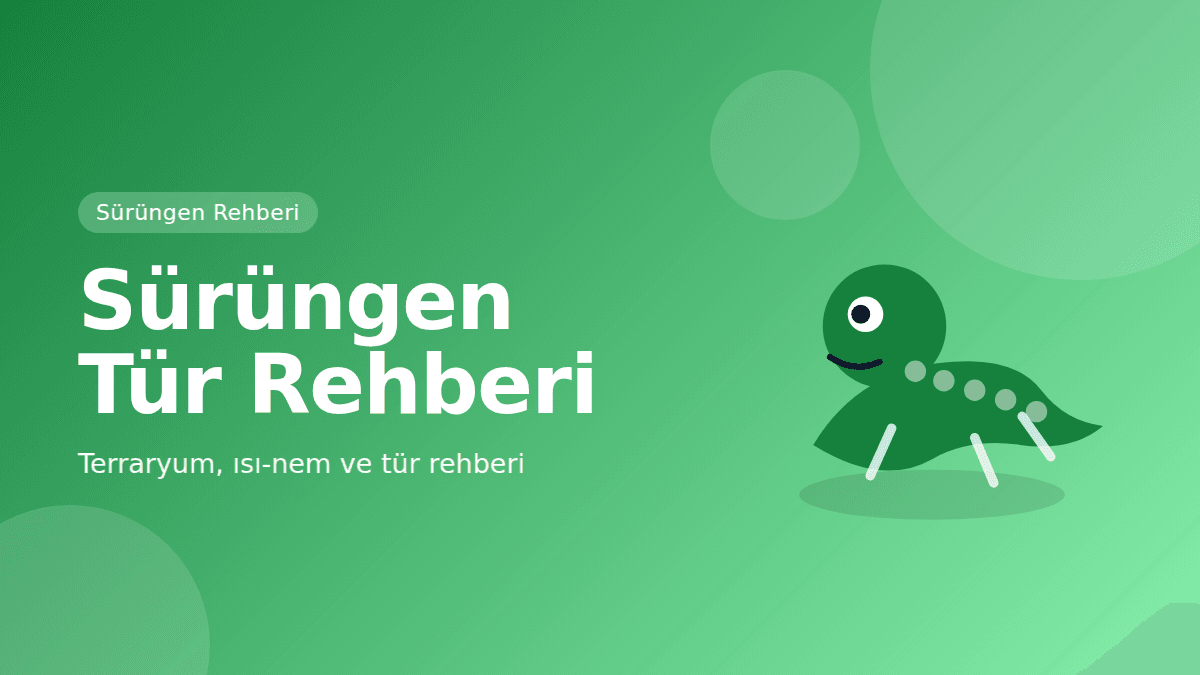 Sürüngen Tür Rehberi: Terraryum, Isı ve Nem — kapak görseli