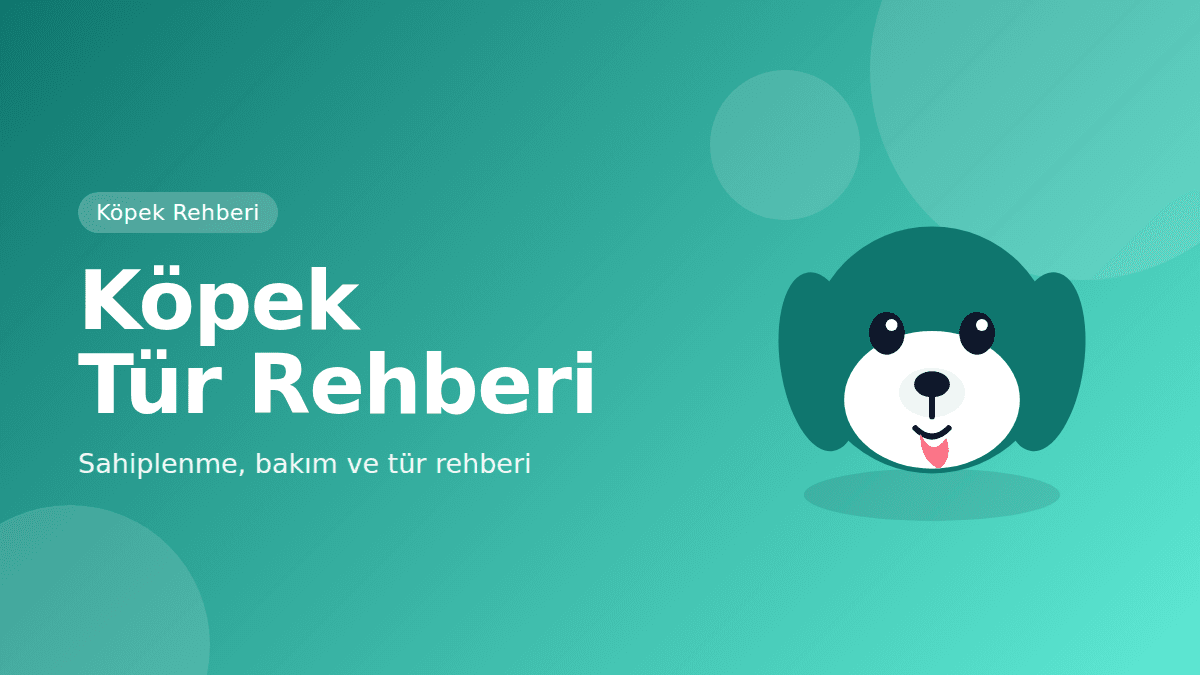 Köpek Tür Rehberi: Bakım, Egzersiz ve Uyum — kapak görseli