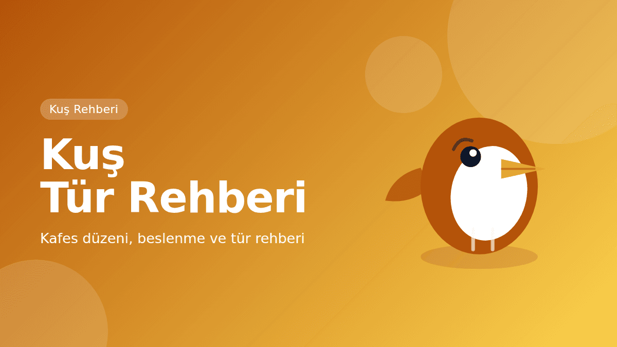 Kuş Tür Rehberi: Kafes, Beslenme ve Bakım — kapak görseli